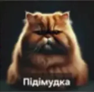 🌟 emoji Пiпiдастр Telegram sticker 22 of 54