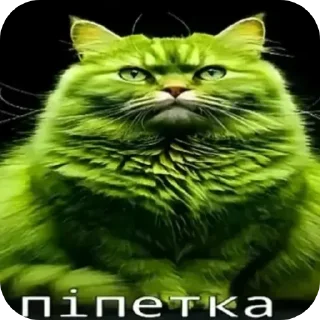 🐱 emoji Пiпiдастр Telegram sticker 9 of 54