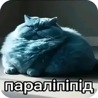 🐱 emoji Пiпiдастр Telegram sticker 8 of 54