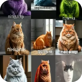 🧥 emoji Пiпiдастр Telegram sticker 11 of 54