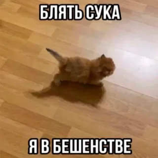 Sticker from ну надо