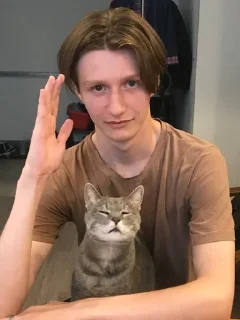 😺 emoji Димачкааа Telegram sticker 10 of 18