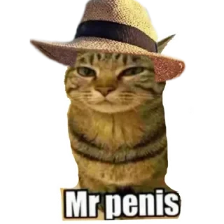 Sticker from Mr_penis