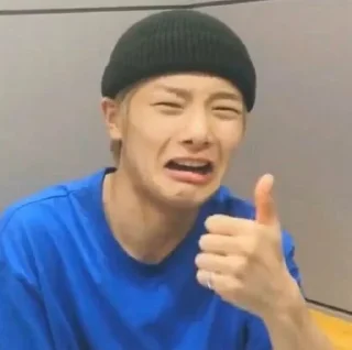 👍 emoji Stray Kids Telegram sticker 18 of 110