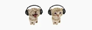 🤪 emoji ну типа Telegram sticker 17 of 27
