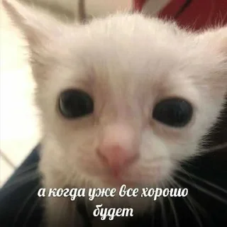 😭 emoji лол кек чебурек ➡️ @Ctikerubot Telegram sticker 13 of 86