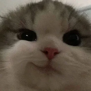😏 emoji Больше стиков тут: @stikiin Telegram sticker 16 of 120