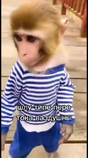 😅 emoji Ярик бибизяна 4 ➡️ @Ctikerubot Telegram sticker 23 of 50