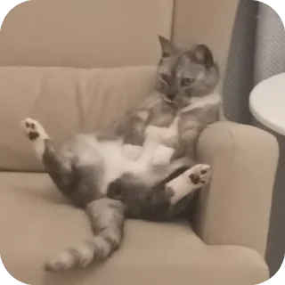 🫥 emoji Стики босса художки Telegram sticker 16 of 107