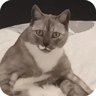 🫥 emoji Стики босса художки Telegram sticker 11 of 107