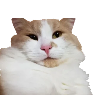 😏 emoji F/G Telegram sticker 17 of 106