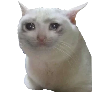 😢 emoji F/G Telegram sticker 22 of 106