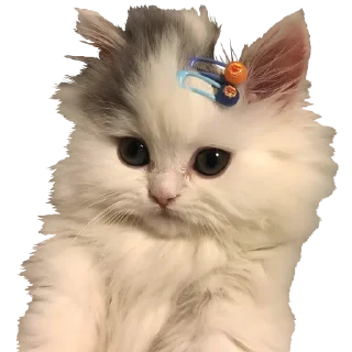 🙂 emoji F/G Telegram sticker 16 of 106