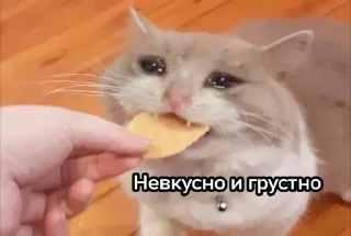 Sticker from Трёхэтажная_ЛЕГУЩЬКА