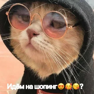 🛍 emoji Cats pack Telegram sticker 18 of 22