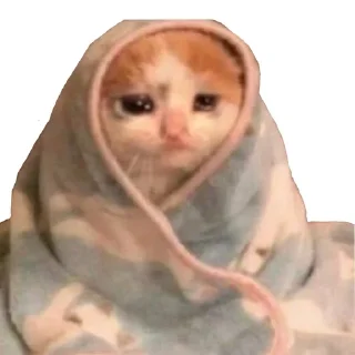 😥 emoji Cats pack Telegram sticker 21 of 22