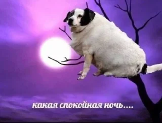 Sticker from это я