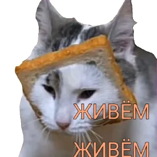 Sticker from А ну ка давай-ка!