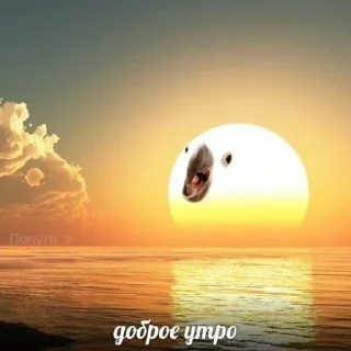 🌞 emoji на все случаи жизни Telegram sticker 20 of 120