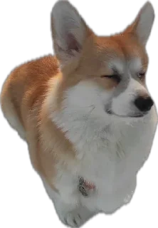 Sticker from Charlie’s Mood Pack