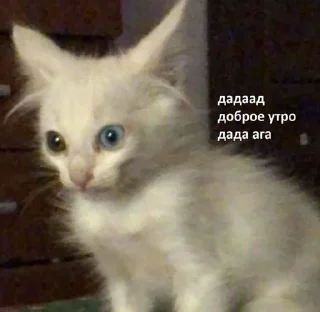Sticker from Доброе утро˙˚ʚ(´◡`)ɞ˚˙