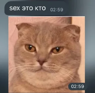 Sticker from sex