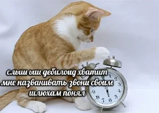 🤬 emoji алло?да Telegram sticker 4 of 92
