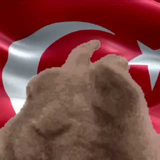 🇹🇷 emoji VIBE flag Telegram sticker 13 of 48