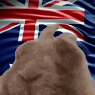 🇦🇺 emoji VIBE flag Telegram sticker 15 of 48