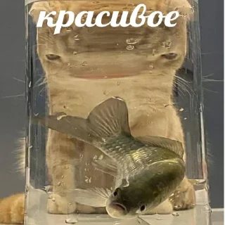 Sticker from Государство СССР стикеры