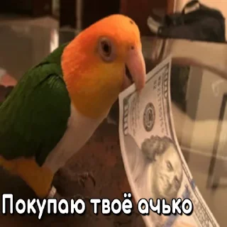 💵 emoji Недушный Южный Telegram sticker 17 of 35