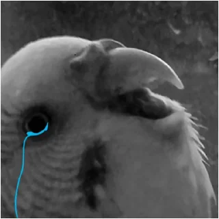 😧 emoji Недушный Южный Telegram sticker 3 of 35