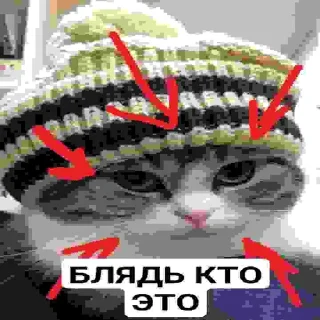 😎 emoji БЛЯДЬ КТО ЭТО Telegram sticker 20 of 24