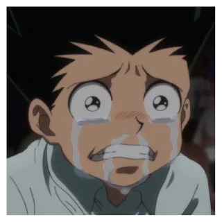 😢 emoji хантер хантер это кто. Telegram sticker 7 of 50