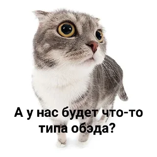 Sticker from нах буллишь