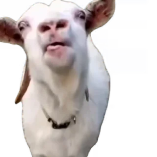 😍 emoji tiktok meme Telegram sticker 8 of 30