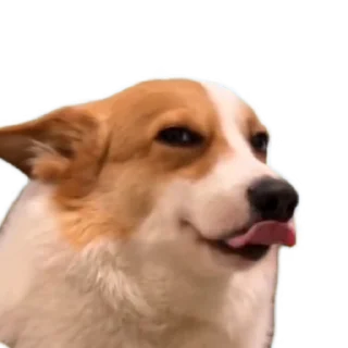 😉 emoji tiktok meme Telegram sticker 18 of 30