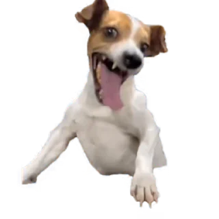 Sticker from tiktok meme