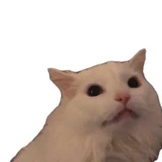 😡 emoji tiktok meme Telegram sticker 19 of 30