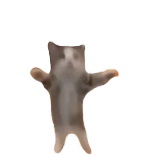 🎉 emoji tiktok meme Telegram sticker 21 of 30