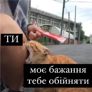 💋 emoji АТБ, 16:40 Telegram sticker 14 of 70