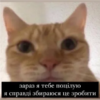 💋 emoji АТБ, 16:40 Telegram sticker 13 of 70