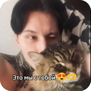 👍 emoji ДМ @matveevdimaxx @dbabaykaa Telegram sticker 15 of 30