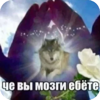 Sticker from мемы
