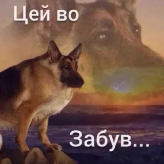 😬 emoji меми Telegram sticker 19 of 120