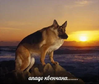 😔 emoji меми Telegram sticker 20 of 120