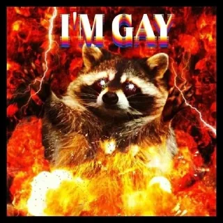 Sticker from raccoon core