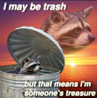 Sticker from raccoon core