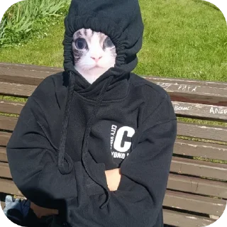 Sticker from Ребята из 4 лицея @thisgame521