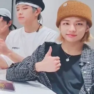 👍 emoji skz describes our lives Telegram sticker 6 of 120